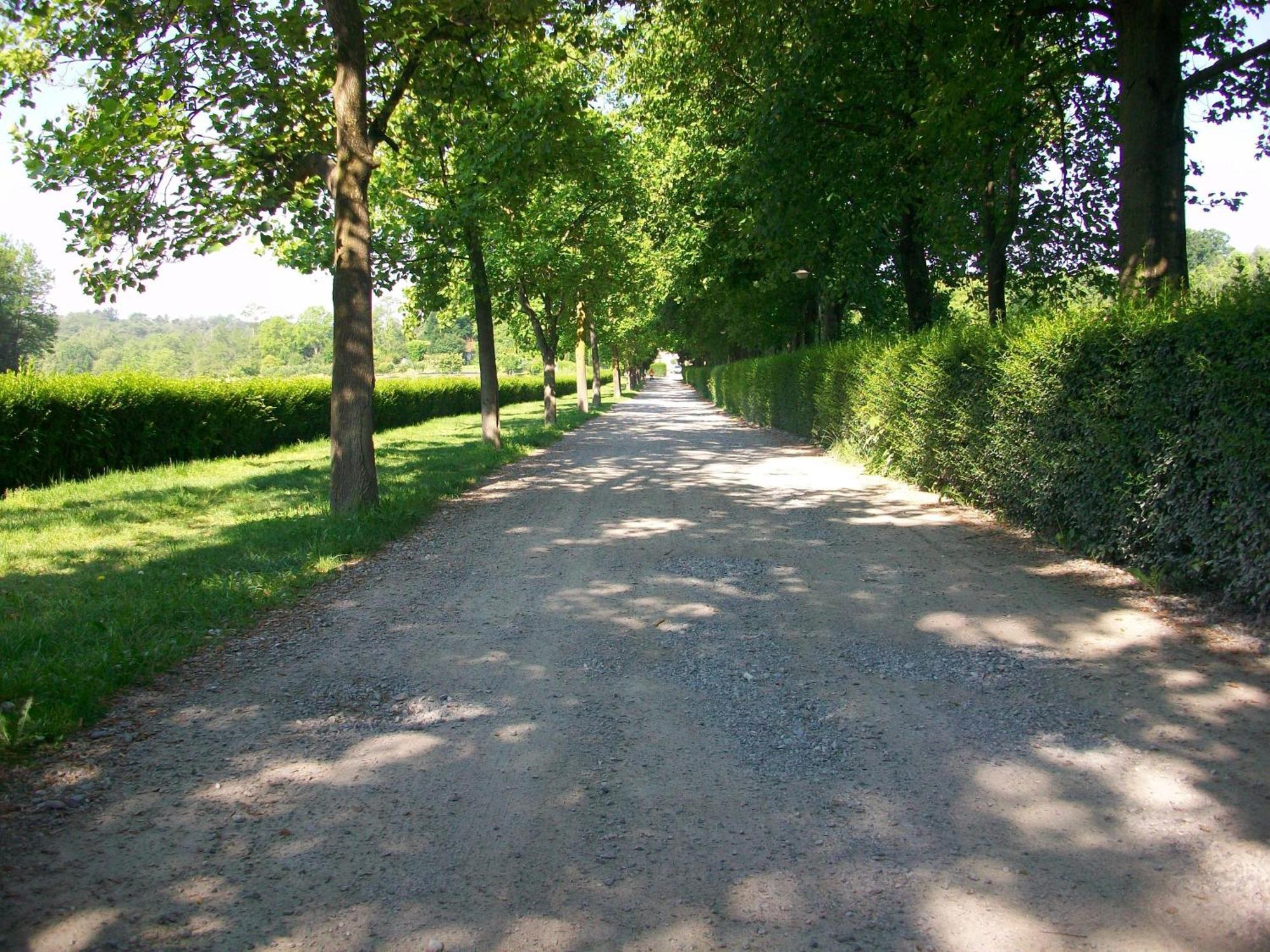 B&B L'Albero Maestro Orsenigo Zewnętrze zdjęcie